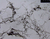 羧基化雙開口多壁碳納米管JCDOMT-95-5-1.25-COOH，JCDOMT-95-8-1.25-COOH，JCDOMT-95-11-1.25-COOH，JCDOMT-95-15-1.25-COOH，JCDOMT-95-25-1.25-COOH，JCDOMT-95-40-1.25-COOH，JCDOMT-95-50-1.25-COOH，