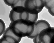 納米空心碳球及實(shí)心碳球改性產(chǎn)品JCHCS-99-550，JCSC-99-550-COOH，JCSC-99-550-NH2