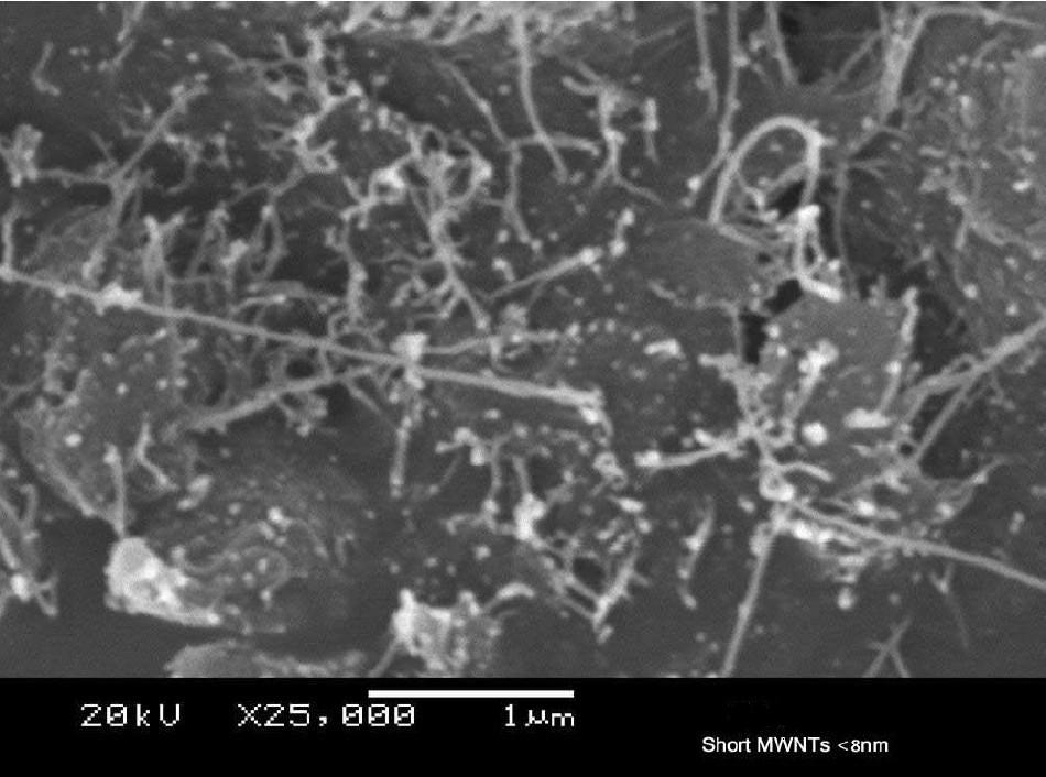 羥基化雙開口多壁碳納米管JCDOMT-95-5-1.25-OH，JCDOMT-95-8-1.25-OH，JCDOMT-95-11-1.25-OH，JCDOMT-95-15-1.25-OH，JCDOMT-95-25-1.25-OH，JCDOMT-95-40-1.25-OH，JCDOMT-95-50-1.25-OH