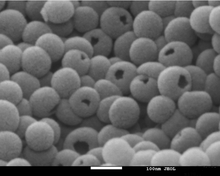 開(kāi)口空心碳球（OHCS)