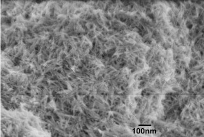 進(jìn)口氫氧化鐵納米線粉末Iron oxyhydroxide nanowires