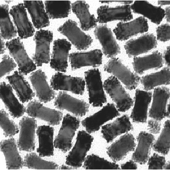 鈀、鉑包覆的金納米棒